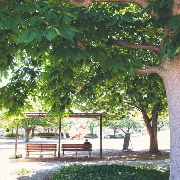 公園